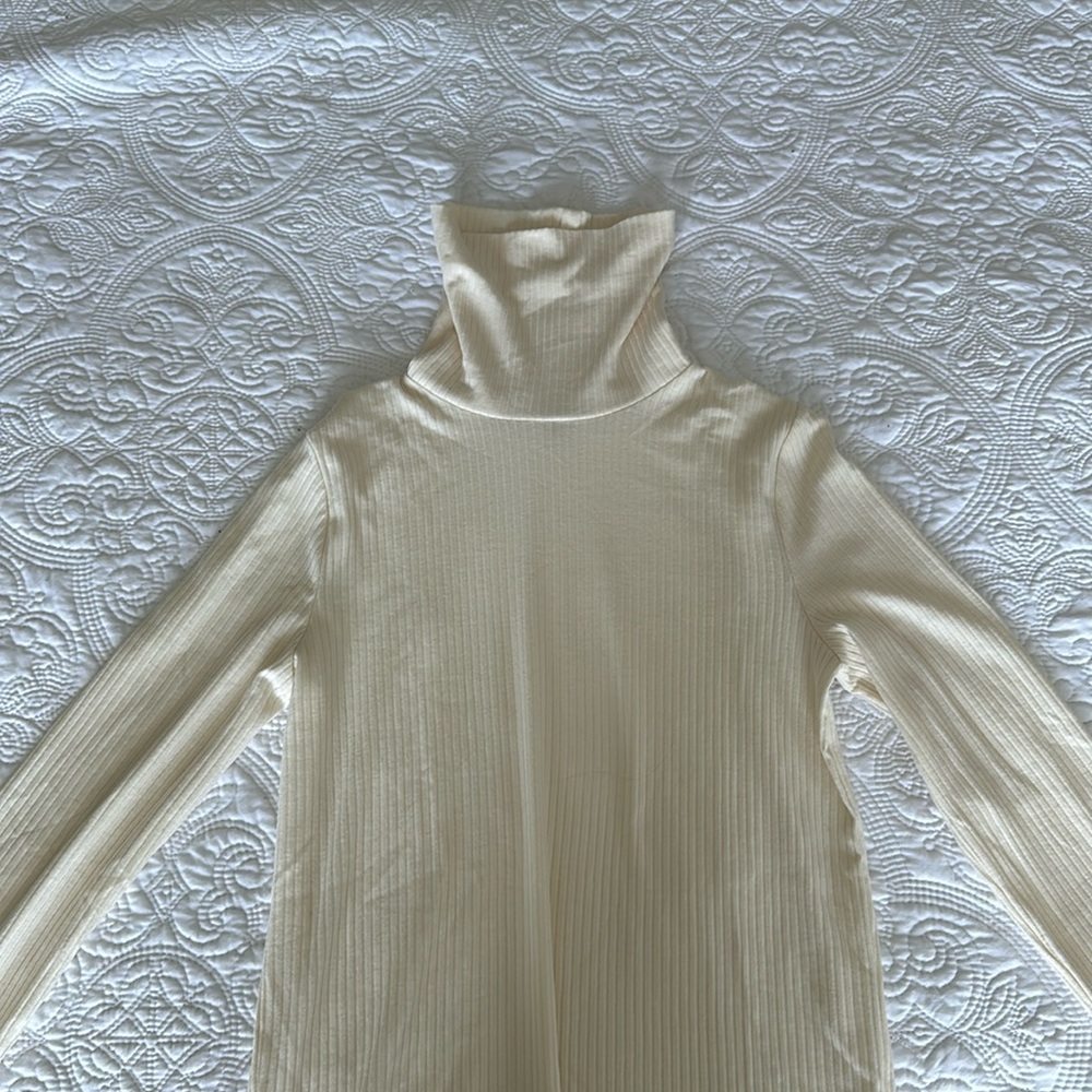 Long sleeve turtle neck